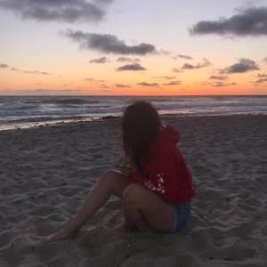 Meet your Posher, Genesis